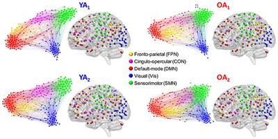 Aging and Network Properties: Stability Over Time and Links with Learning during Working Memory Training